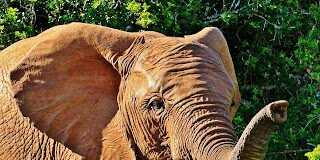 Private Equity Investor Road Shows in South Africa