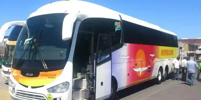 Intercape, APM buses stoned as attacks on long-distance buses persist in Eastern Cape