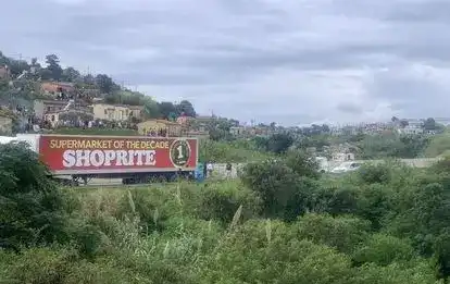 Shoprite truck looting dumisani makhaye dr