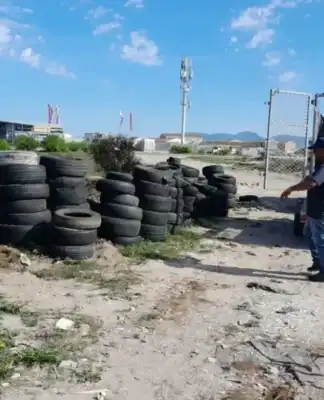 Authorities find 249 hidden ‘EFF’ tyres