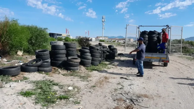 Authorities find 249 hidden ‘EFF’ tyres