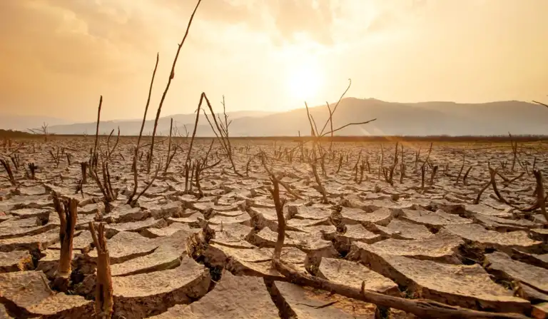 KZN Braces for Hotter, Drier Summer as El Niño Strengthens